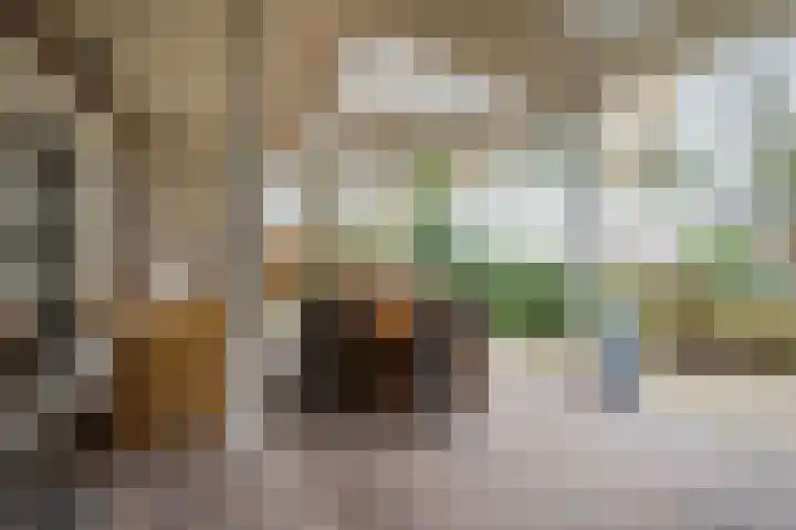 Hondsberg 27 Veldhoven thumbnail 36