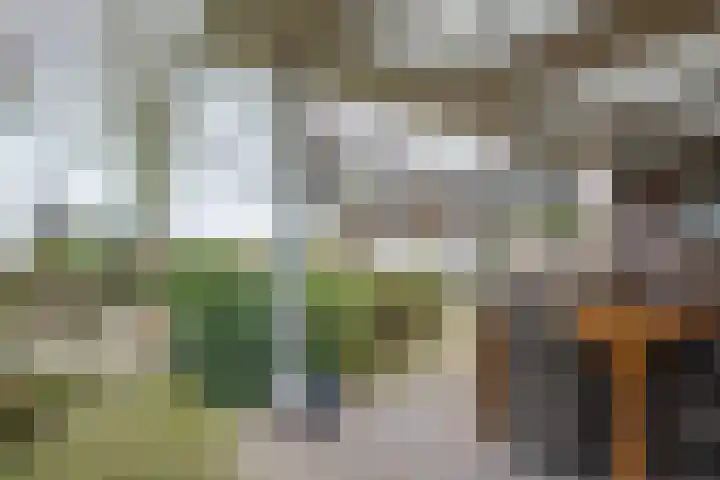 Hondsberg 27 Veldhoven thumbnail 37