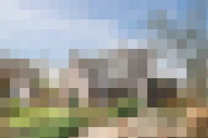 Hondsberg 27 Veldhoven thumbnail 4