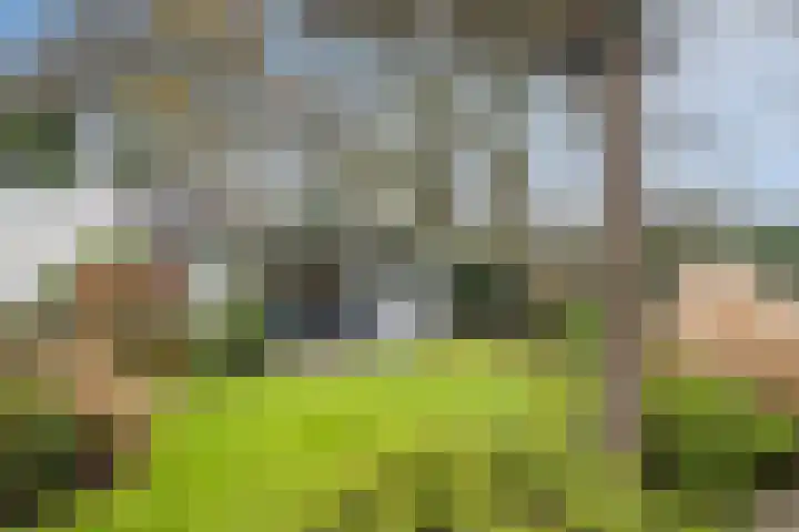 Hondsberg 27 Veldhoven thumbnail 41