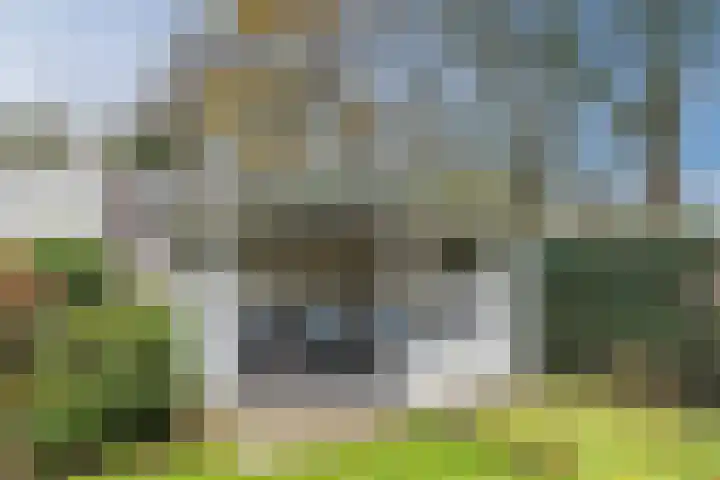 Hondsberg 27 Veldhoven thumbnail 42