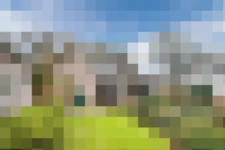 Hondsberg 27 Veldhoven thumbnail 44