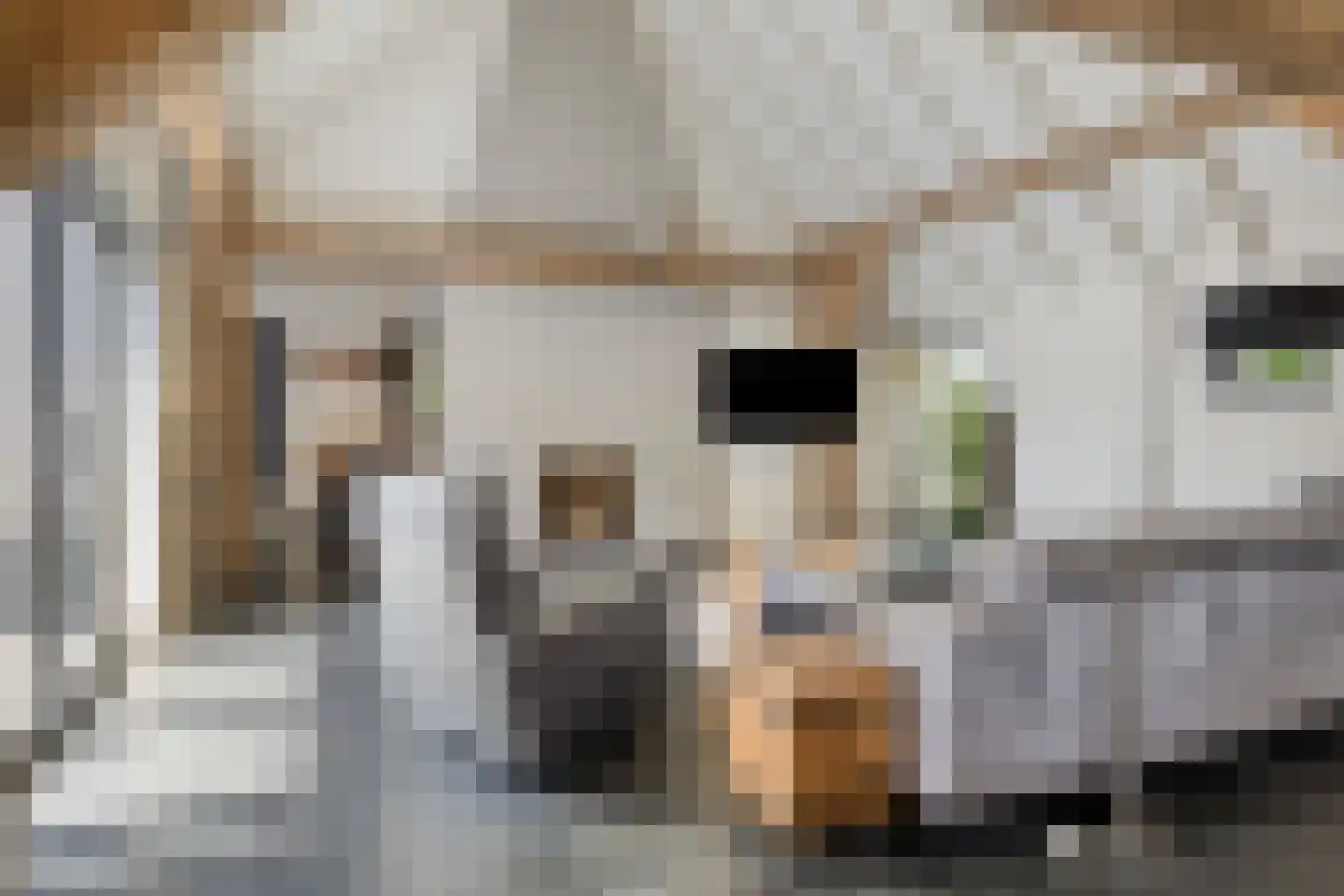Hondsberg 3 Rosmalen thumbnail 12