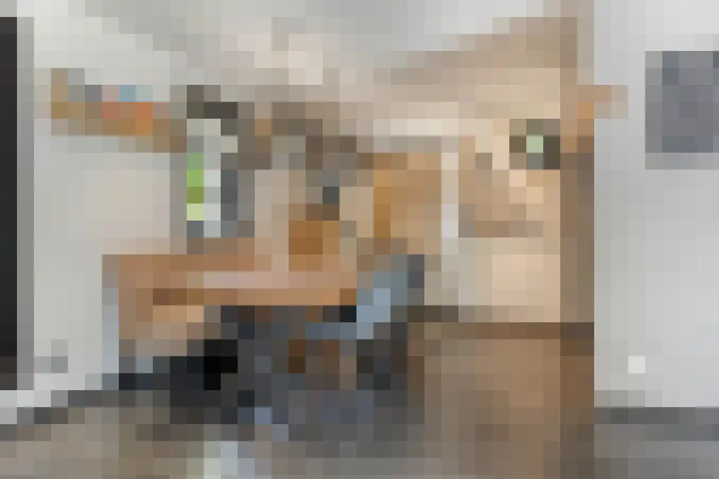 Hondsberg 3 Rosmalen thumbnail 13