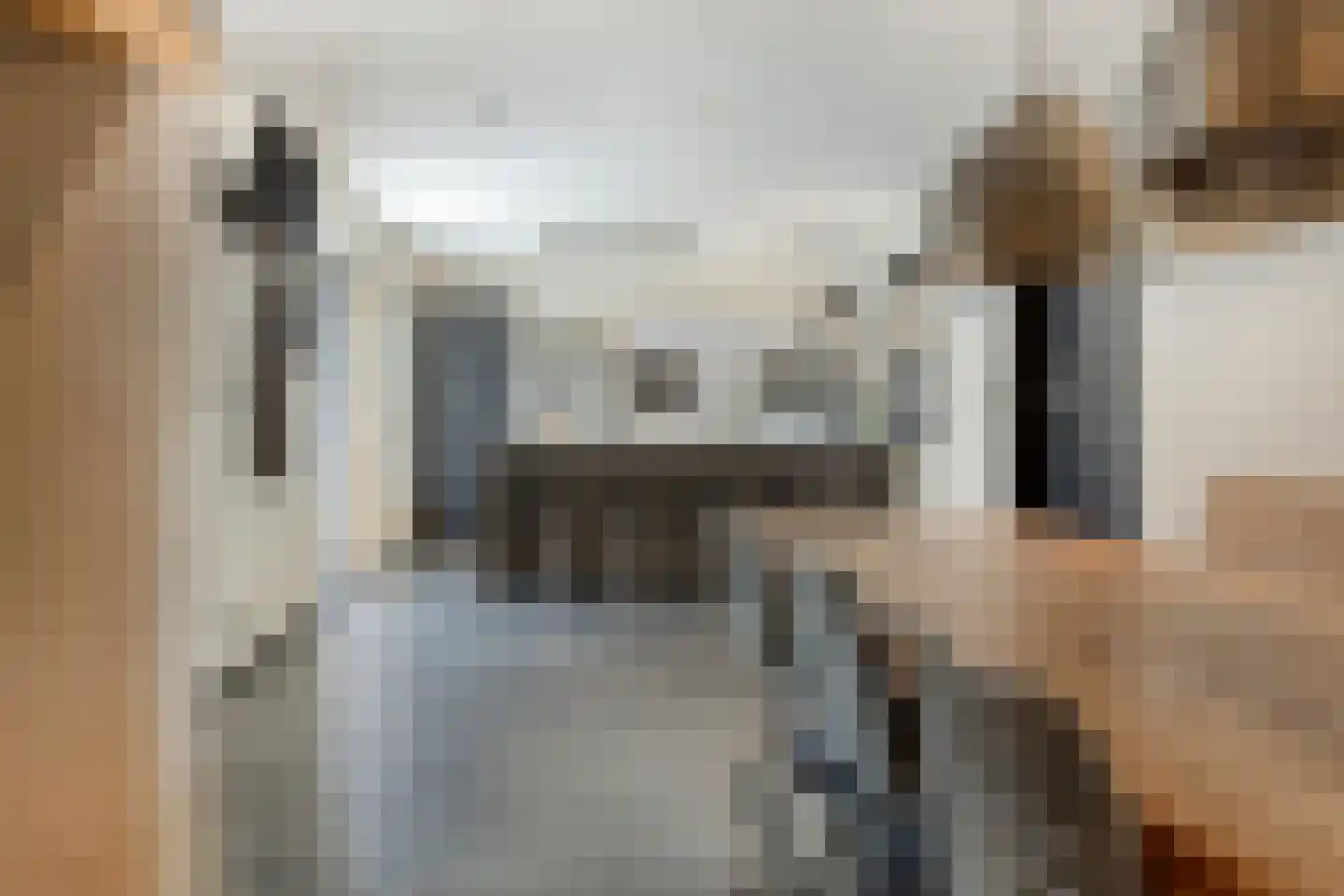 Hondsberg 3 Rosmalen thumbnail 14