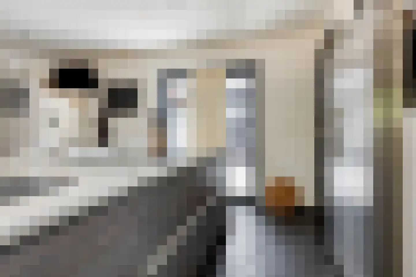 Hondsberg 3 Rosmalen thumbnail 17