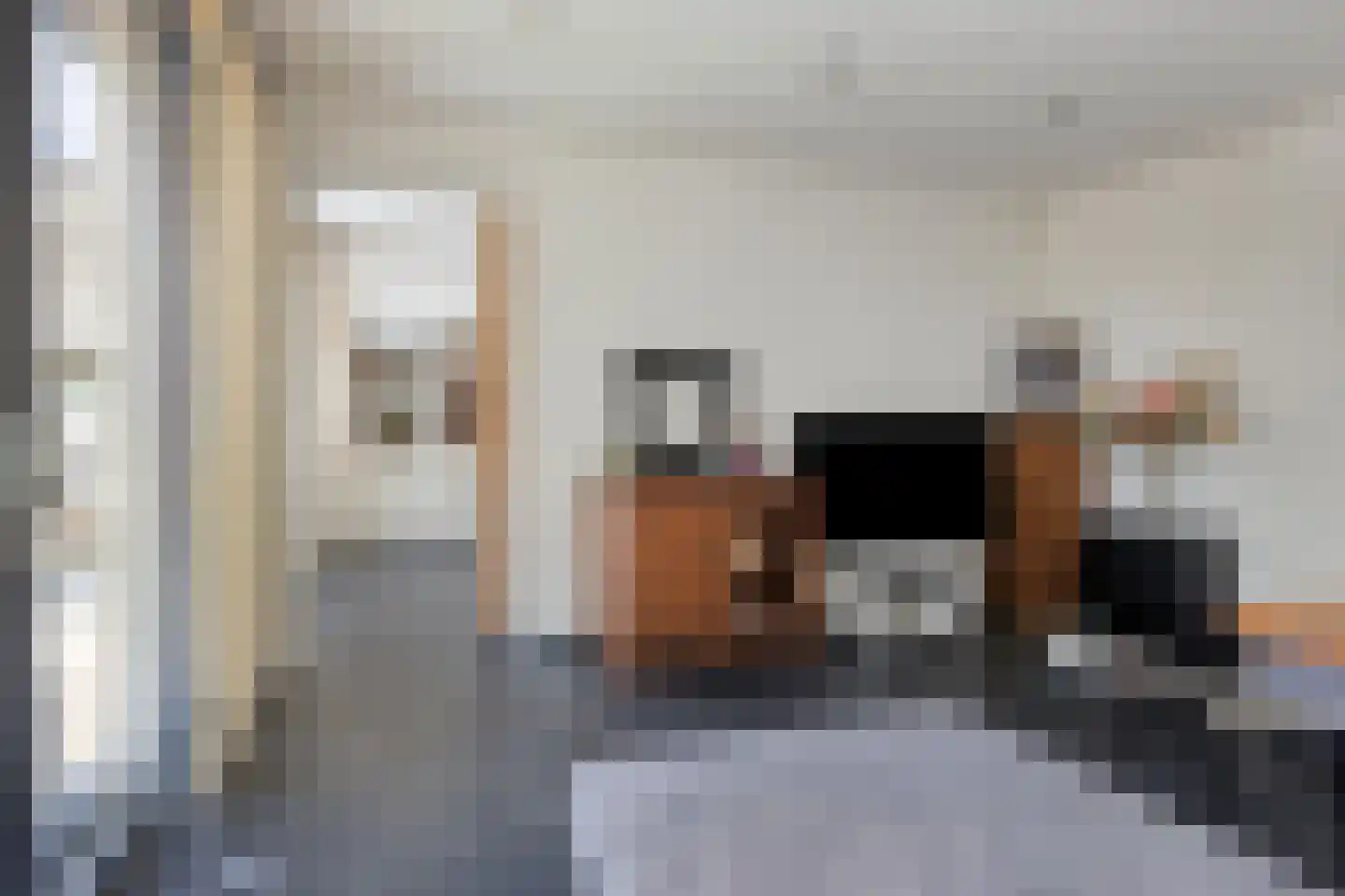 Hondsberg 3 Rosmalen thumbnail 24