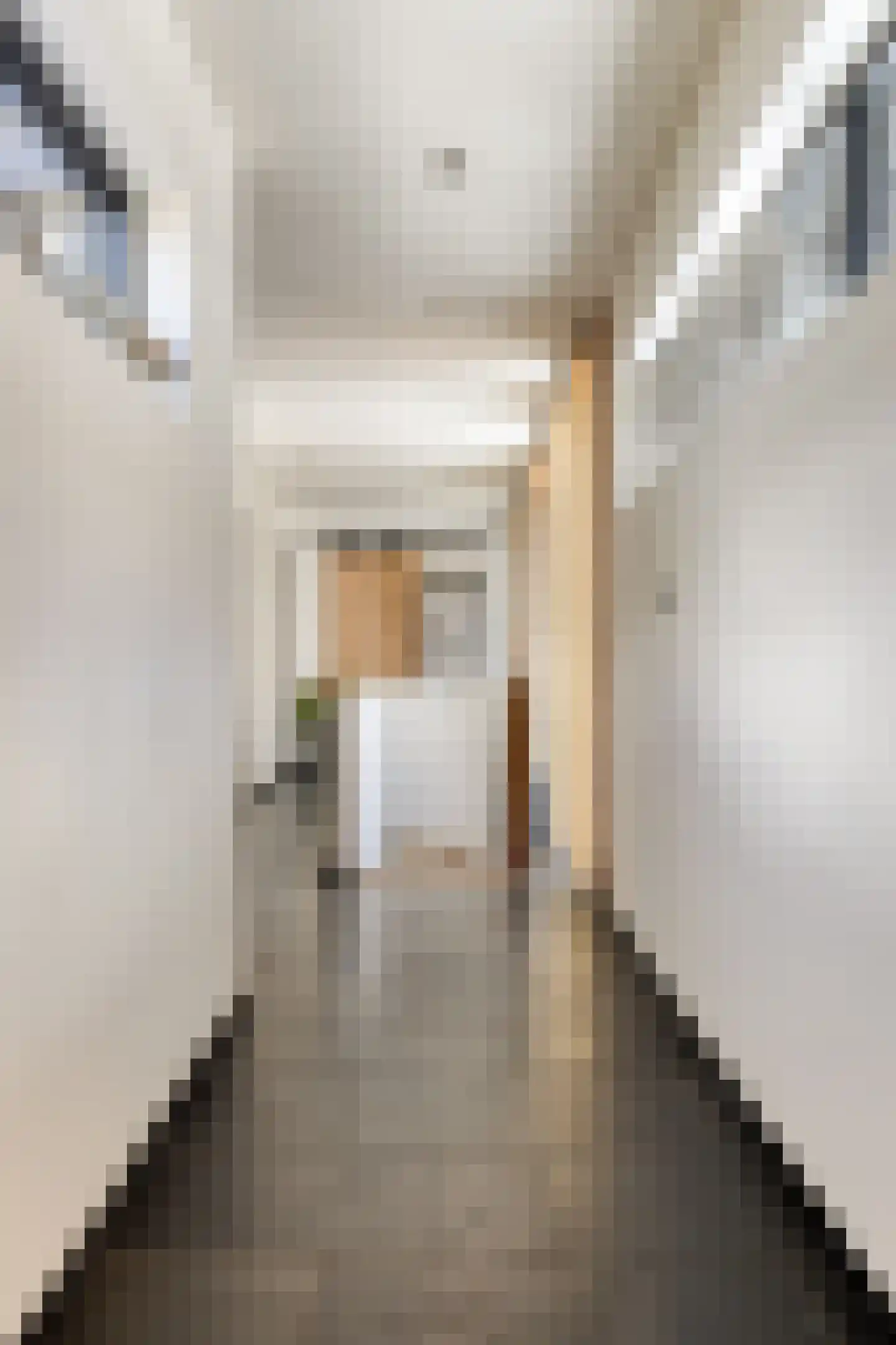 Hondsberg 3 Rosmalen thumbnail 30