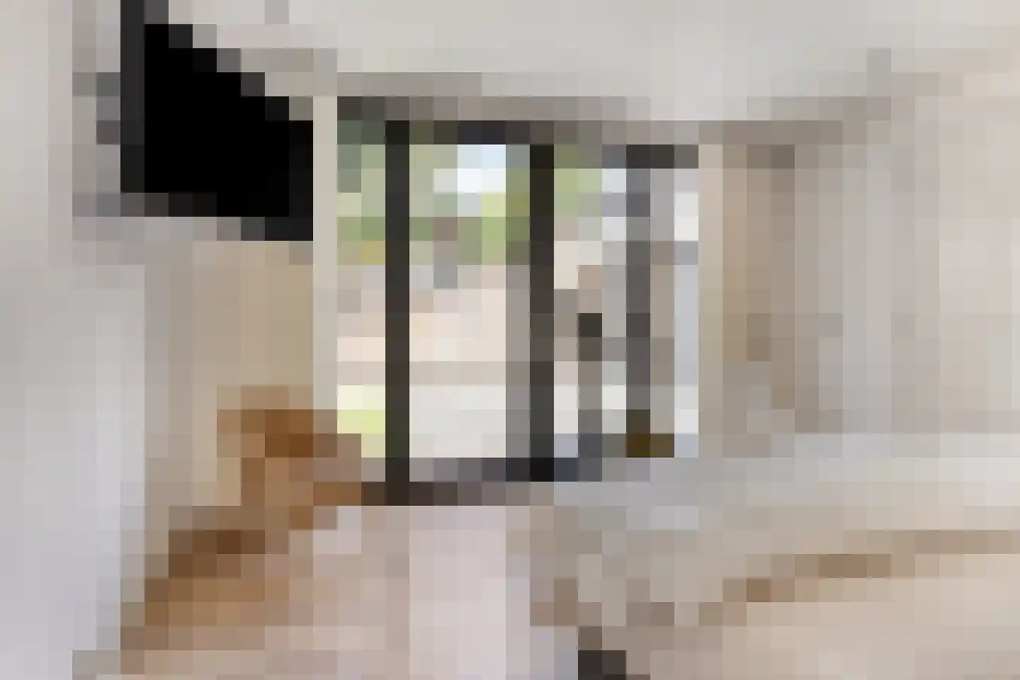 Hondsberg 3 Rosmalen thumbnail 34