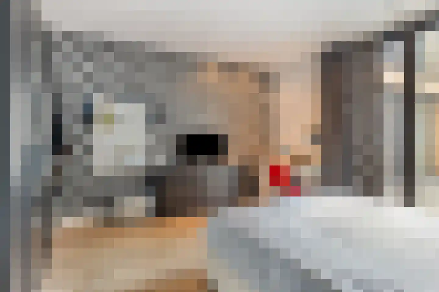 Hondsberg 3 Rosmalen thumbnail 43