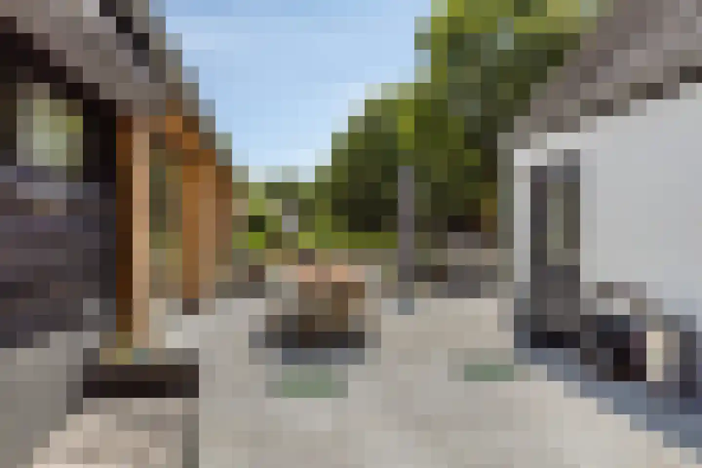 Hondsberg 3 Rosmalen thumbnail 46