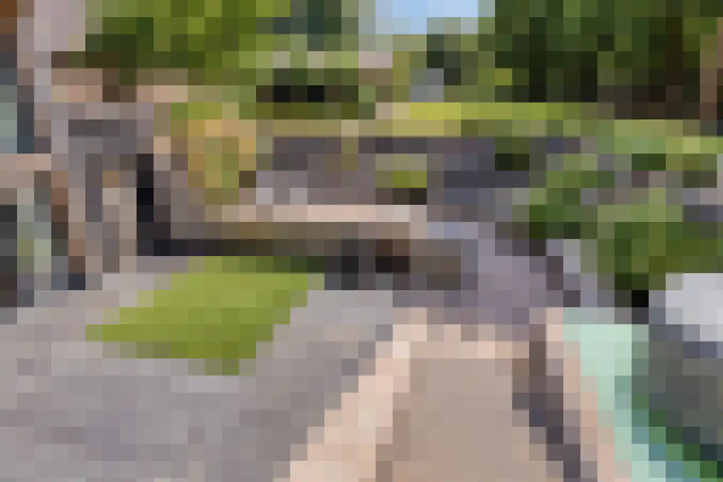 Hondsberg 3 Rosmalen thumbnail 49