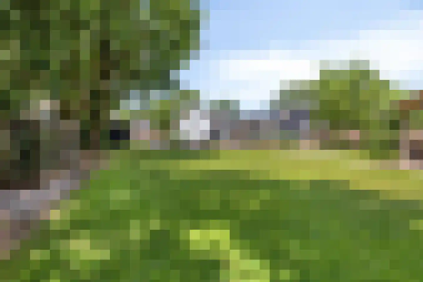 Hondsberg 3 Rosmalen thumbnail 52