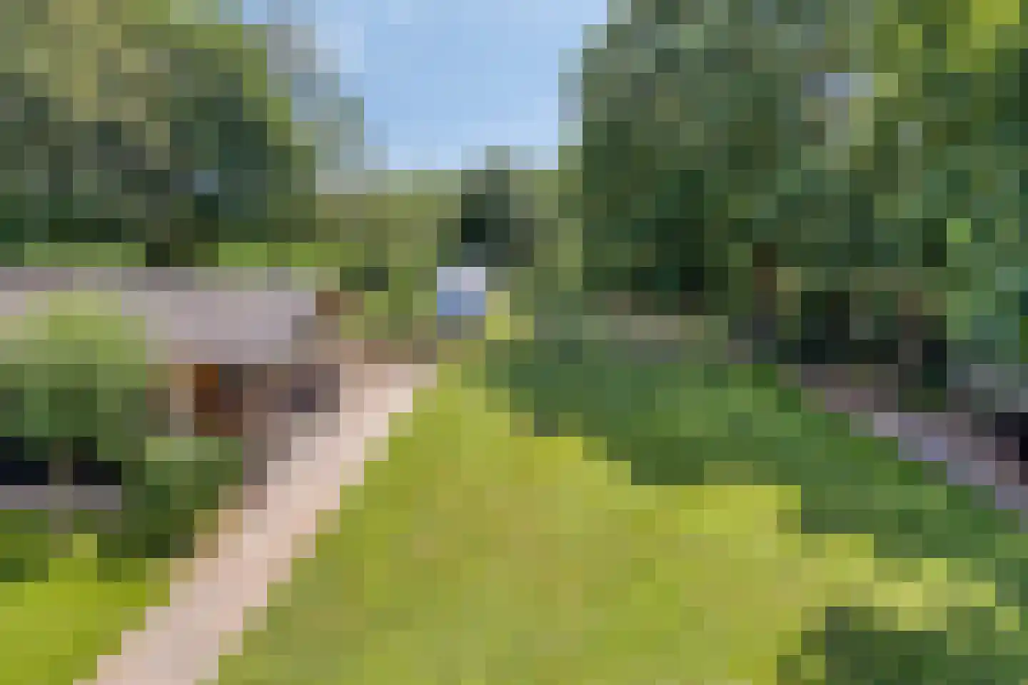 Hondsberg 3 Rosmalen thumbnail 54