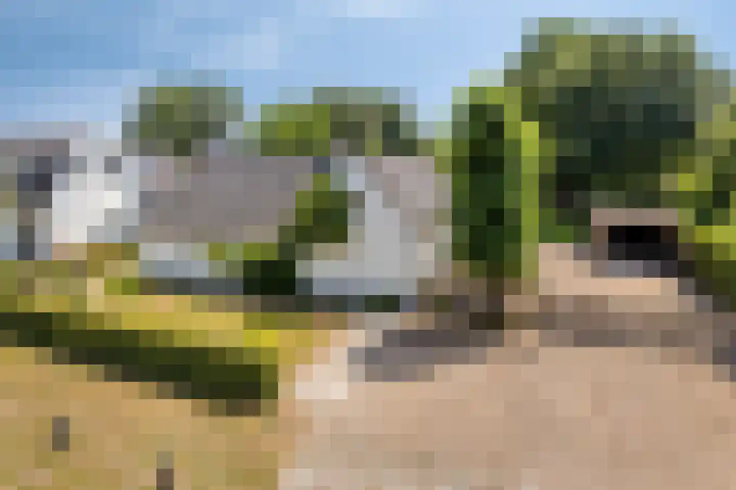 Hondsberg 3 Rosmalen thumbnail 63