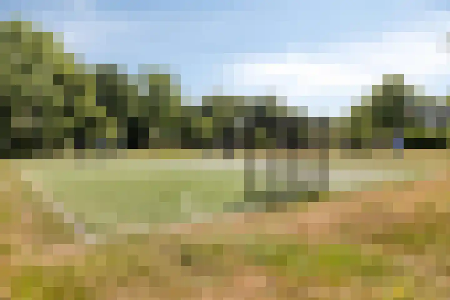 Hondsberg 3 Rosmalen thumbnail 65