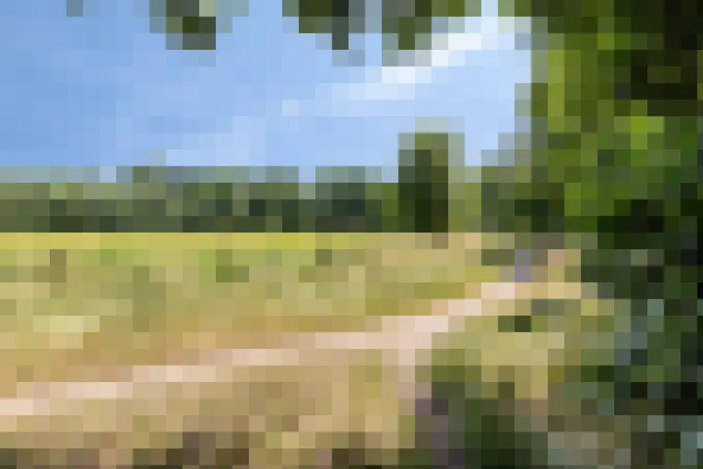 Hondsberg 3 Rosmalen thumbnail 67