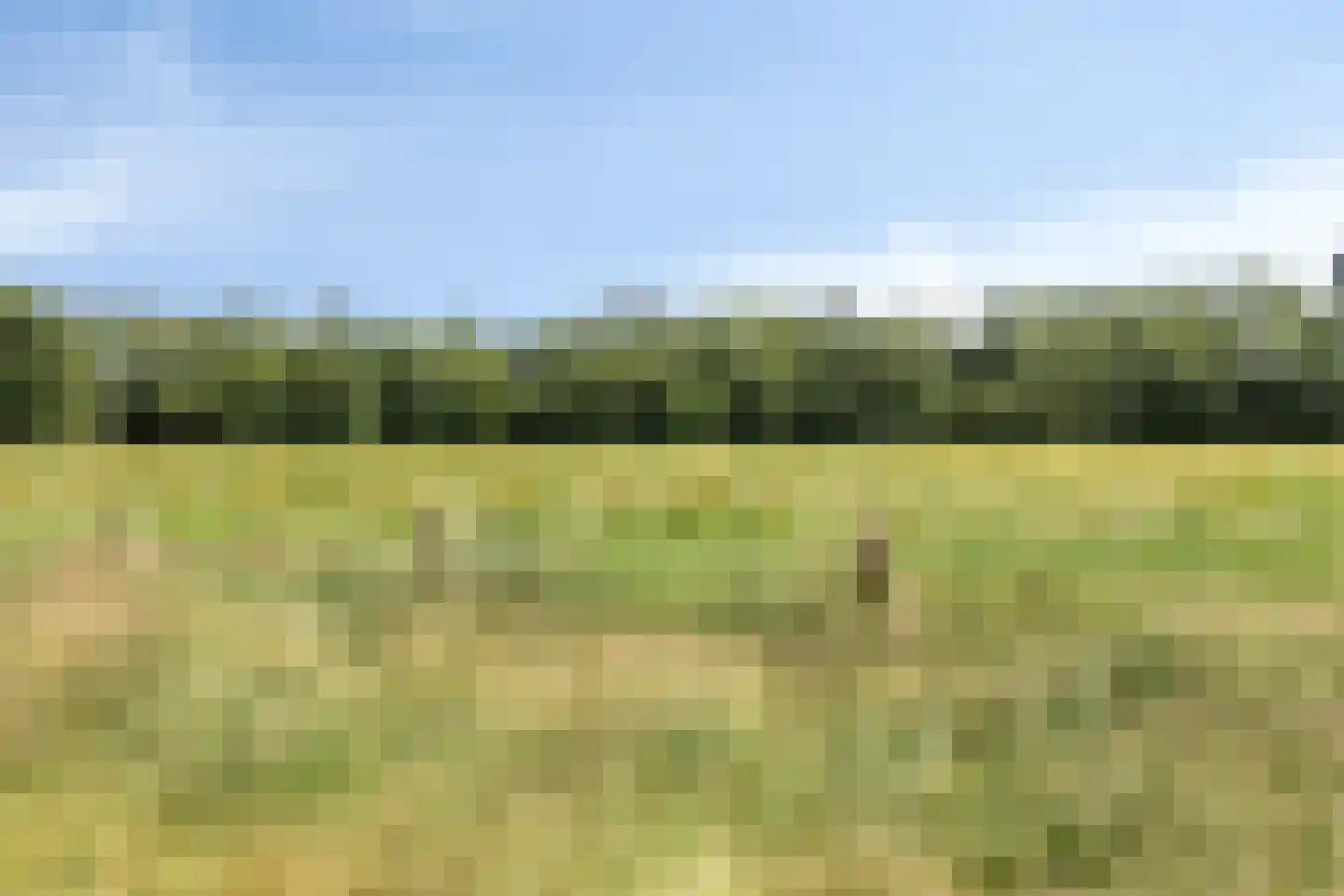 Hondsberg 3 Rosmalen thumbnail 68