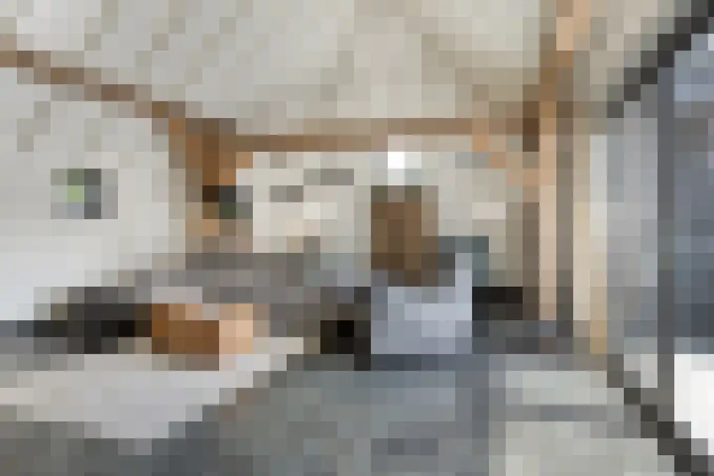 Hondsberg 3 Rosmalen thumbnail 7