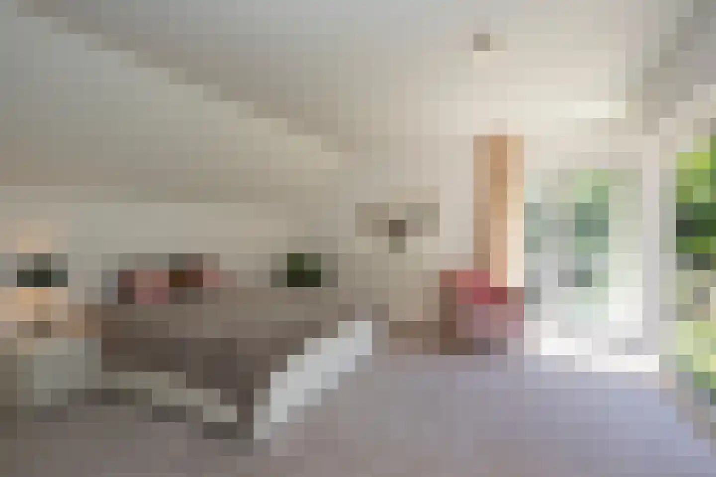 Hondsbergselaan 3 Oisterwijk thumbnail 11