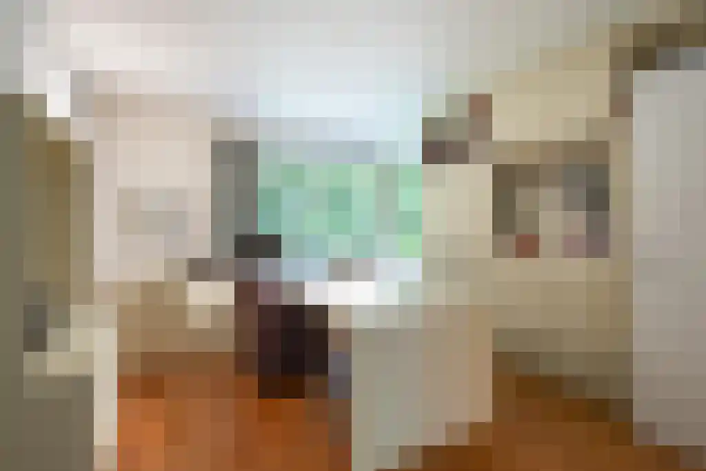 Hondsbergselaan 3 Oisterwijk thumbnail 13