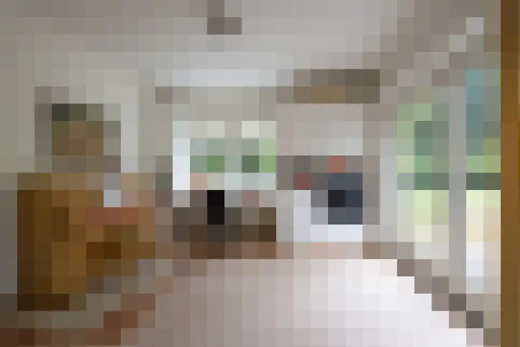 Hondsbergselaan 3 Oisterwijk thumbnail 15