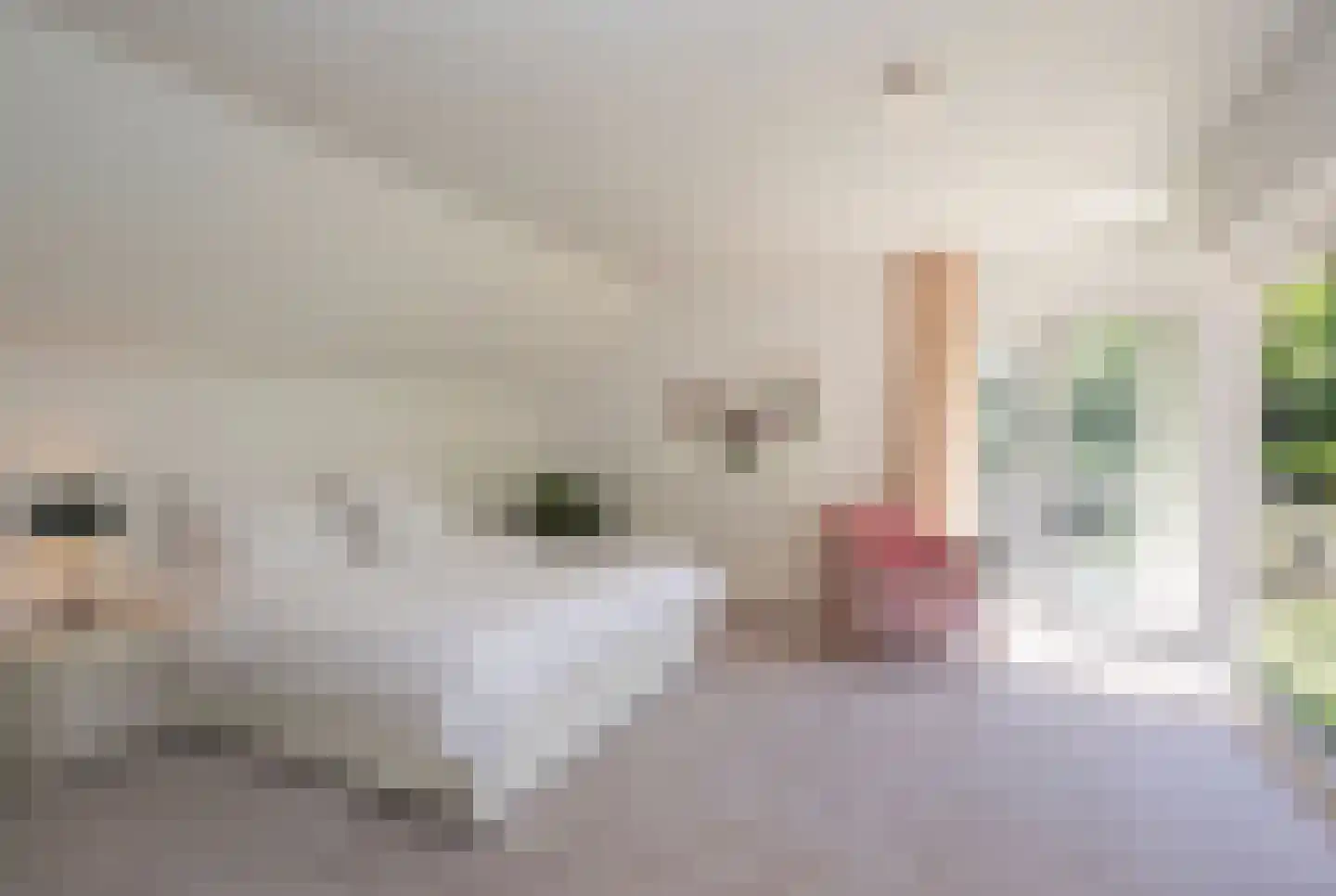 Hondsbergselaan 3 Oisterwijk thumbnail 16
