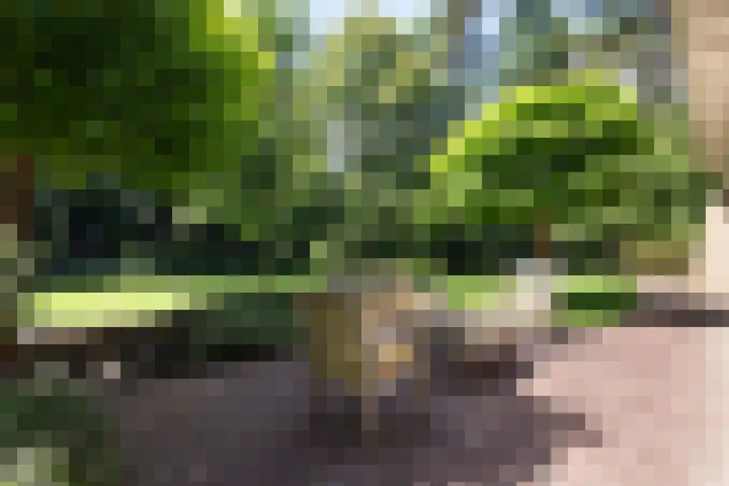 Hondsbergselaan 3 Oisterwijk thumbnail 16