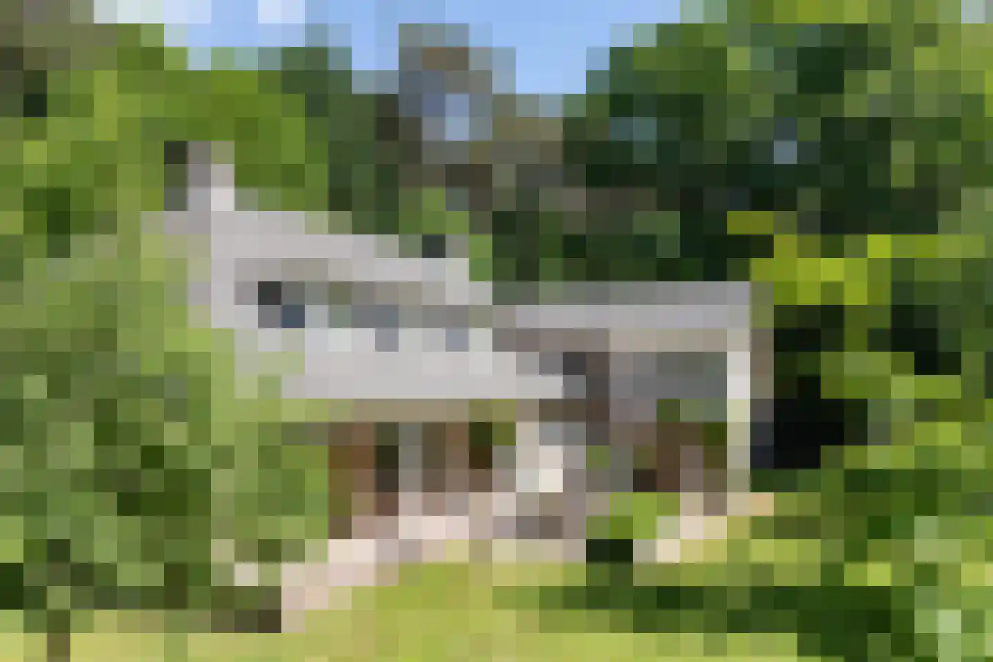 Hondsbergselaan 3 Oisterwijk thumbnail 16
