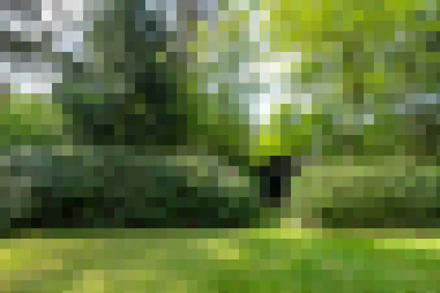 Hondsbergselaan 3 Oisterwijk thumbnail 17