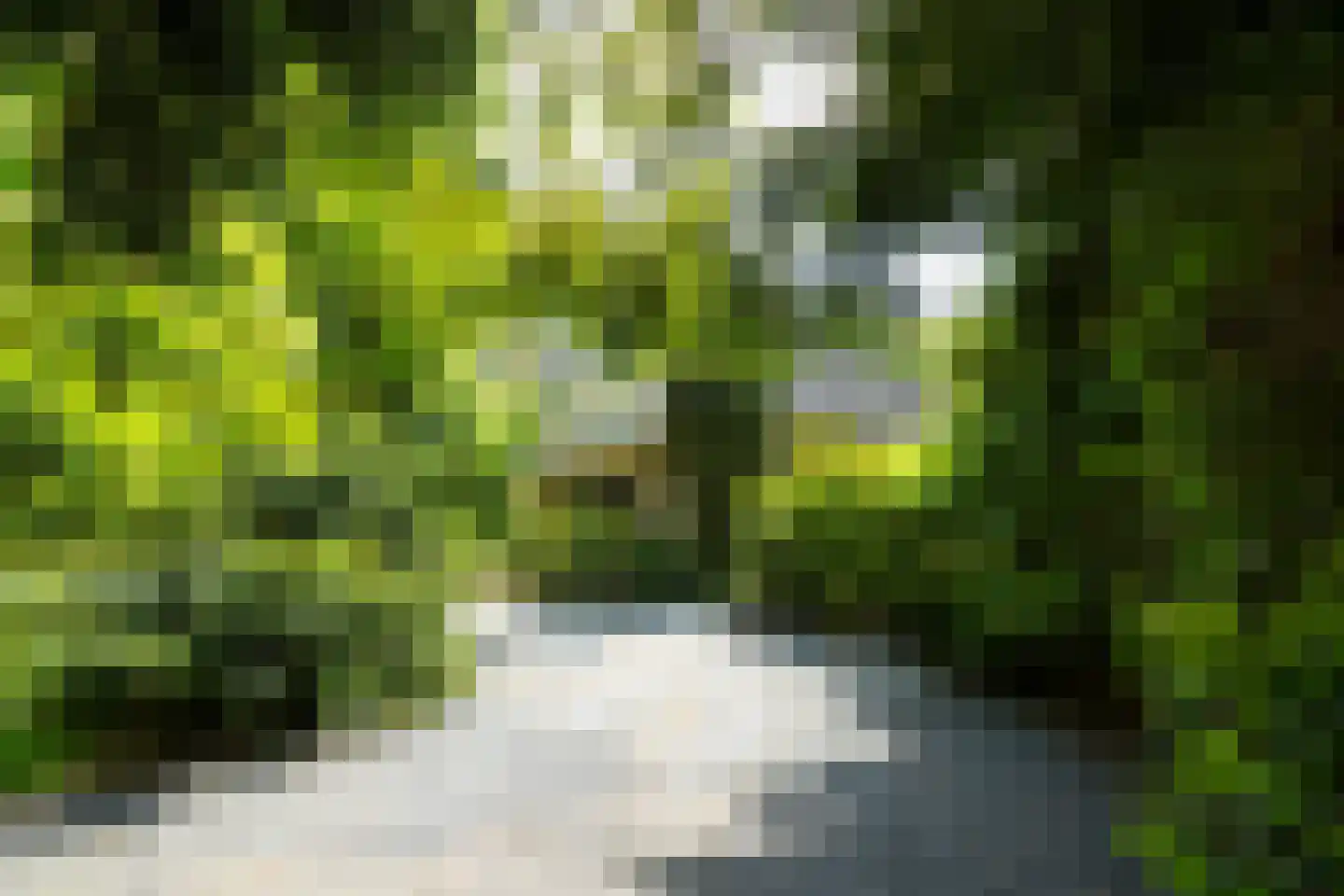 Hondsbergselaan 3 Oisterwijk thumbnail 20