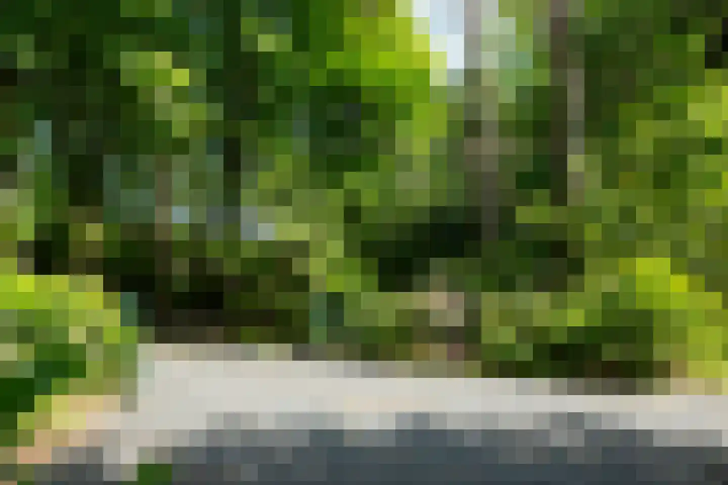 Hondsbergselaan 3 Oisterwijk thumbnail 21