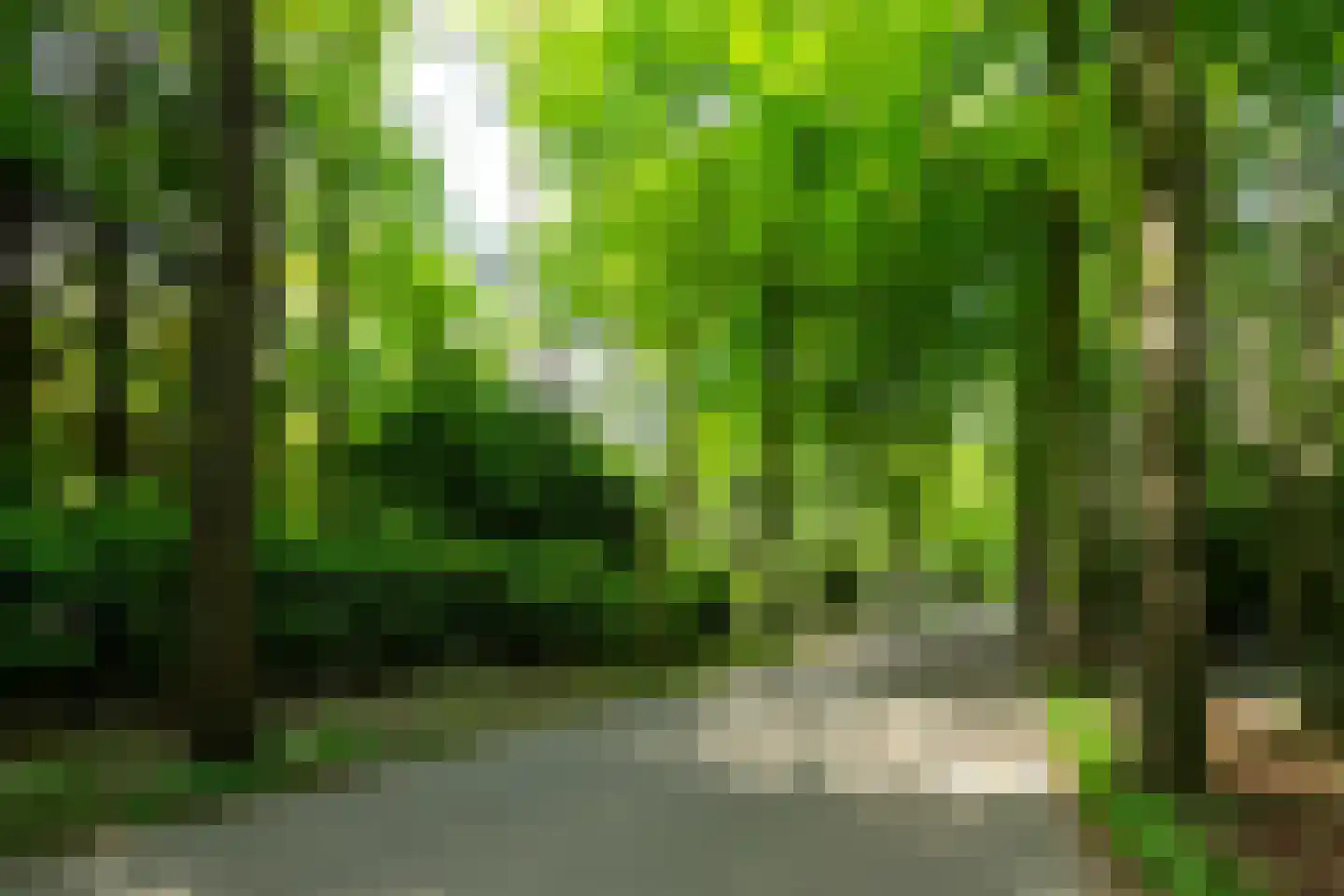 Hondsbergselaan 3 Oisterwijk thumbnail 22