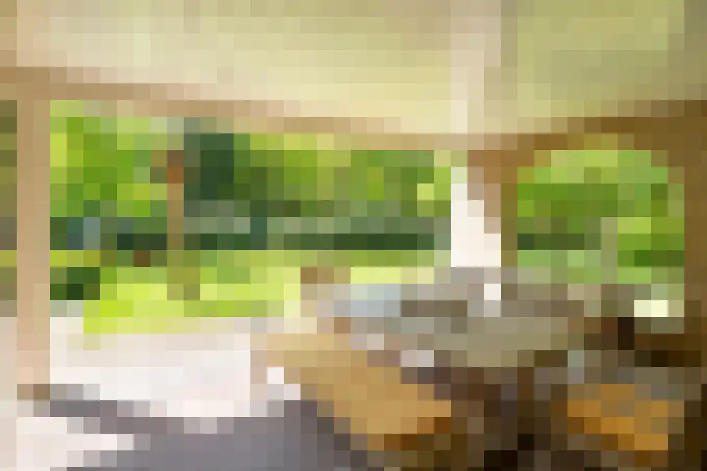 Hondsbergselaan 3 Oisterwijk thumbnail 22