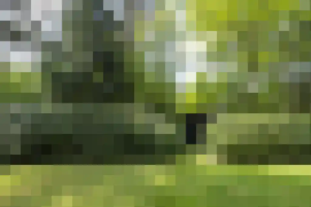 Hondsbergselaan 3 Oisterwijk thumbnail 23