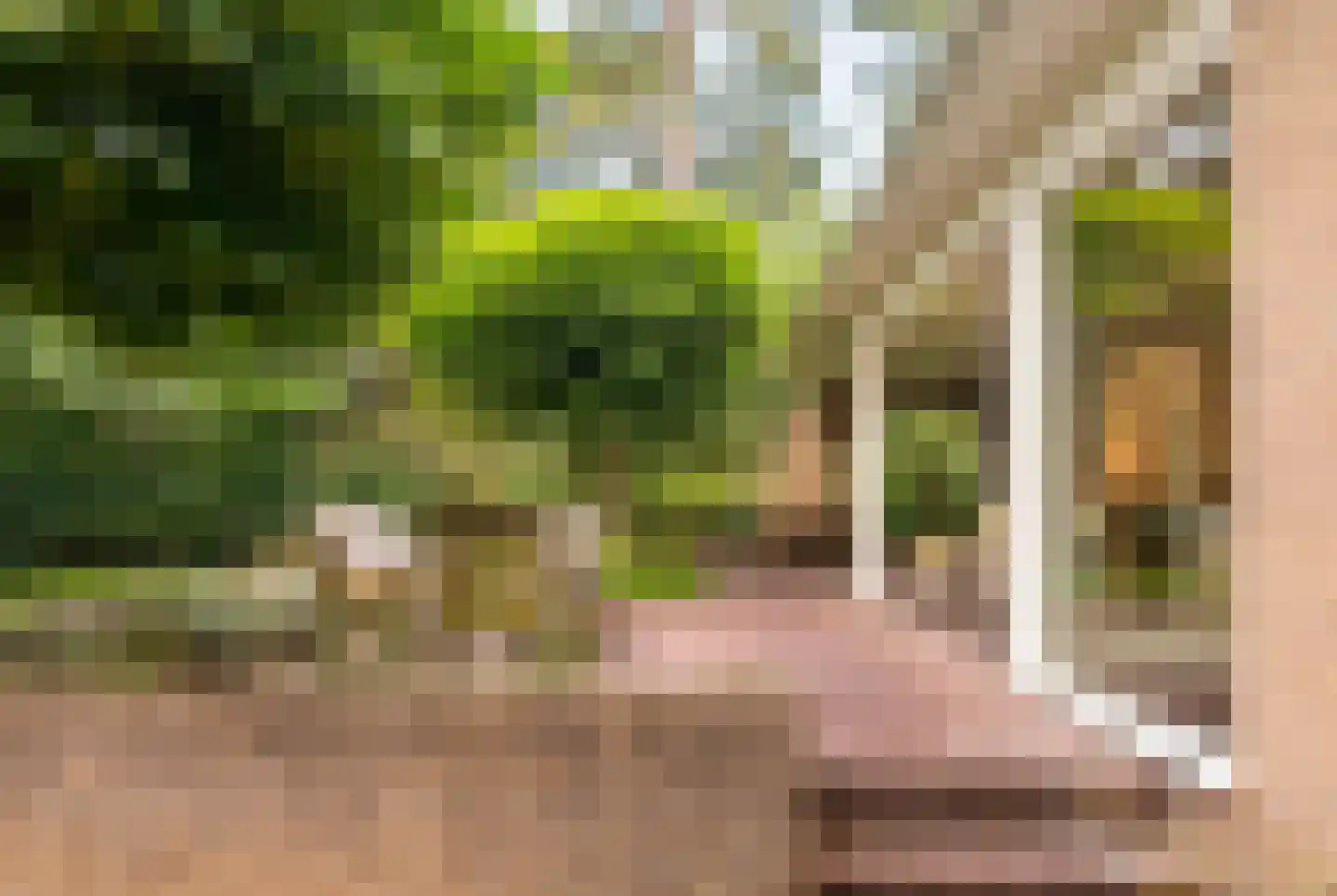 Hondsbergselaan 3 Oisterwijk thumbnail 24