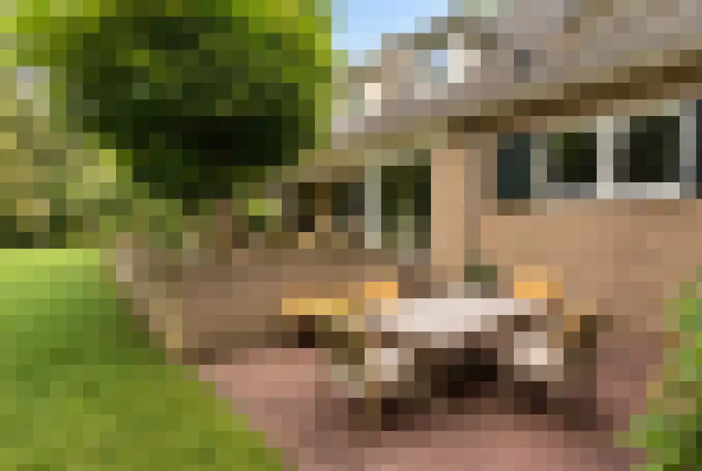 Hondsbergselaan 3 Oisterwijk thumbnail 25
