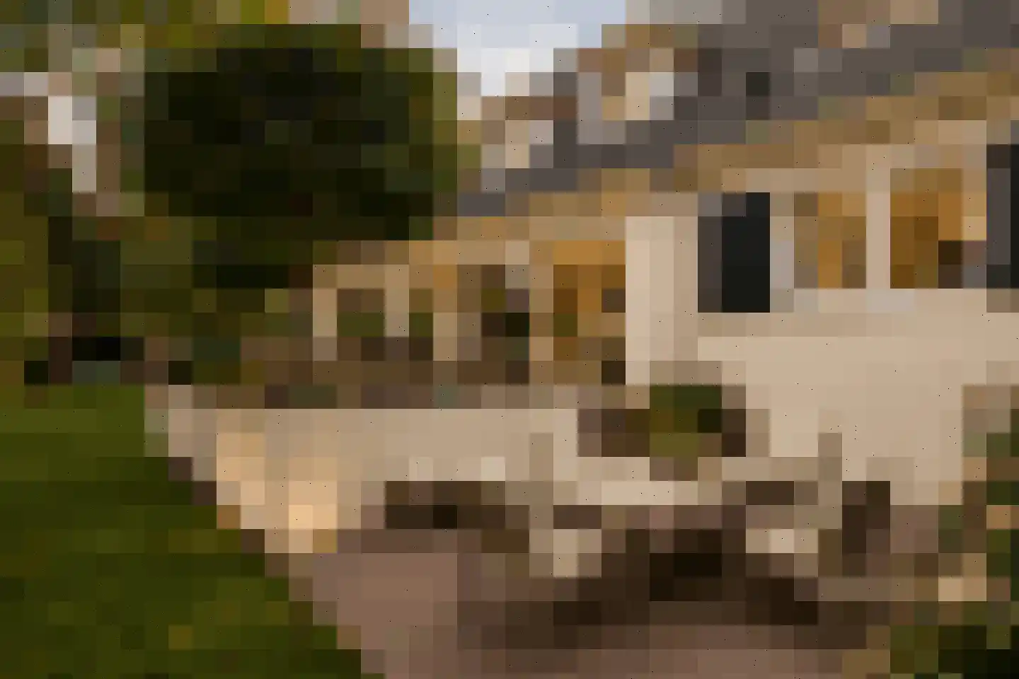 Hondsbergselaan 3 Oisterwijk thumbnail 26