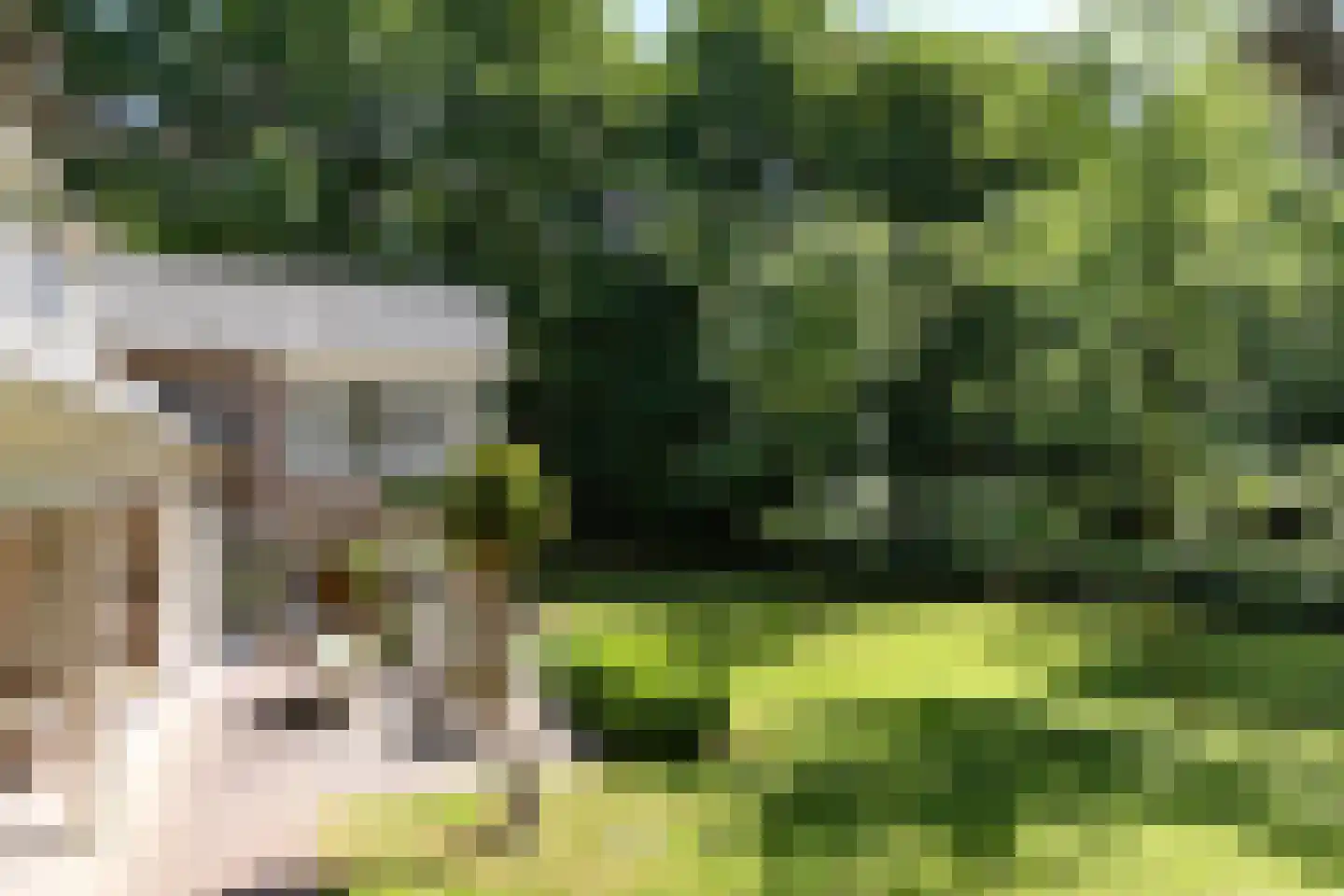 Hondsbergselaan 3 Oisterwijk thumbnail 4
