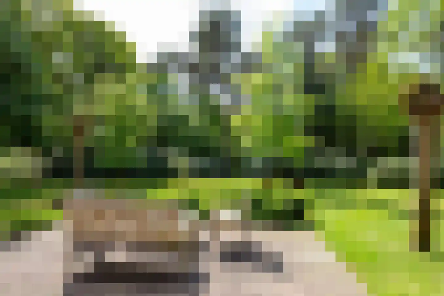 Hondsbergselaan 3 Oisterwijk thumbnail 4