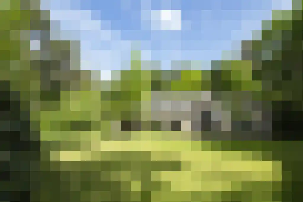 Hondsbergselaan 3 Oisterwijk thumbnail 5