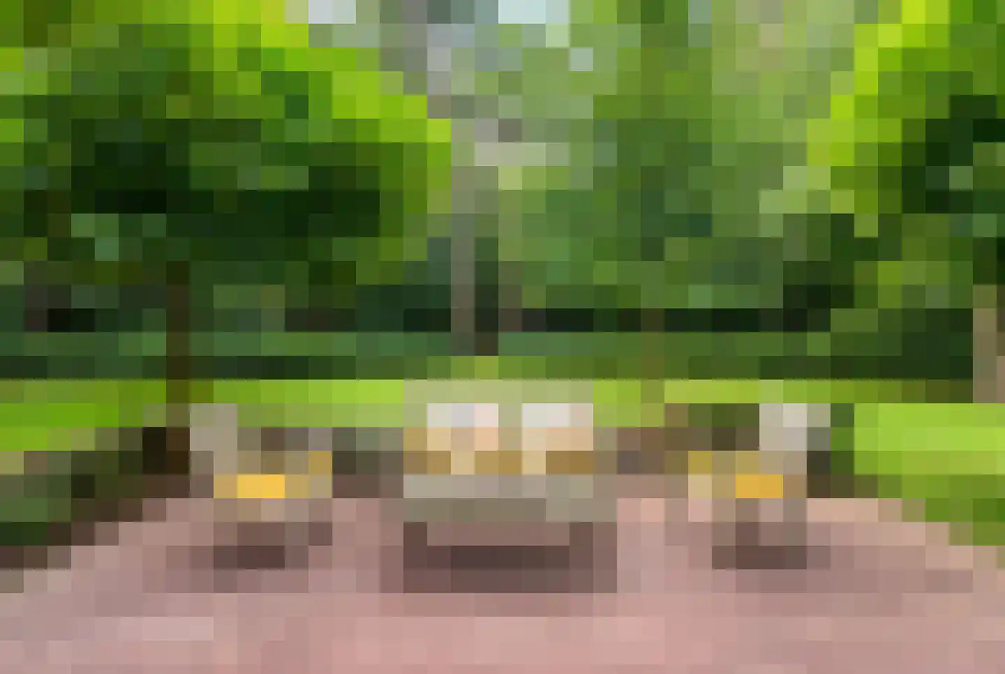 Hondsbergselaan 3 Oisterwijk thumbnail 6