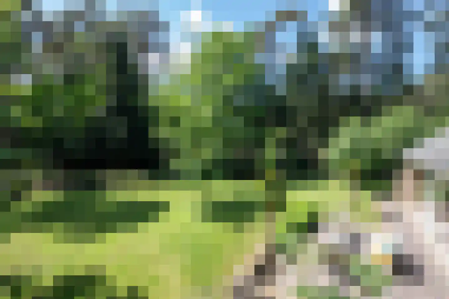 Hondsbergselaan 3 Oisterwijk thumbnail 6