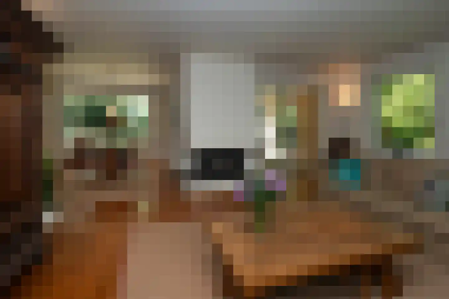 Hondsbergselaan 3 Oisterwijk thumbnail 7