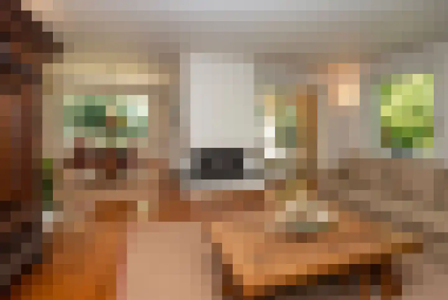 Hondsbergselaan 3 Oisterwijk thumbnail 9