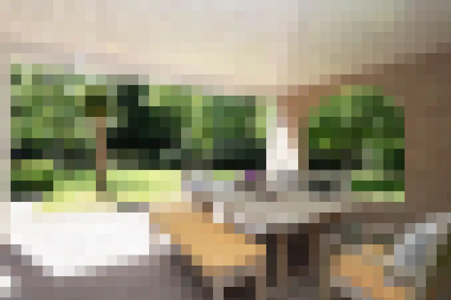 Hondsbergselaan 3 Oisterwijk thumbnail 9