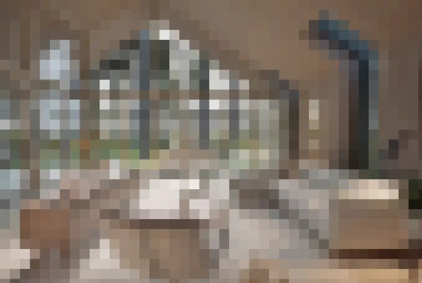 Hondsbergselaan 7 Oisterwijk thumbnail 12
