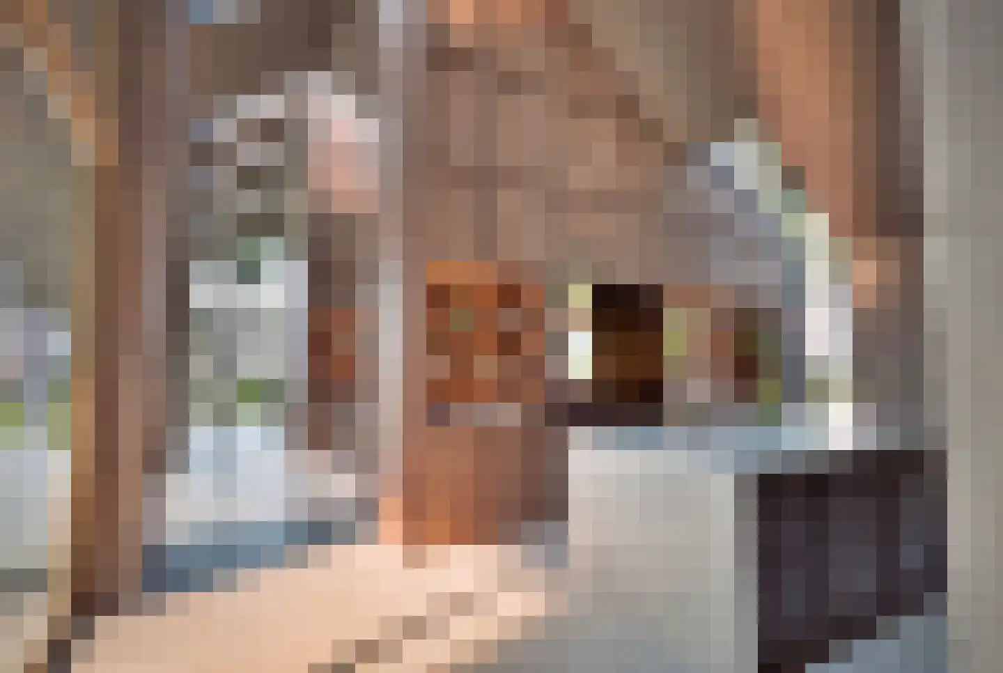 Hondsbergselaan 7 Oisterwijk thumbnail 14