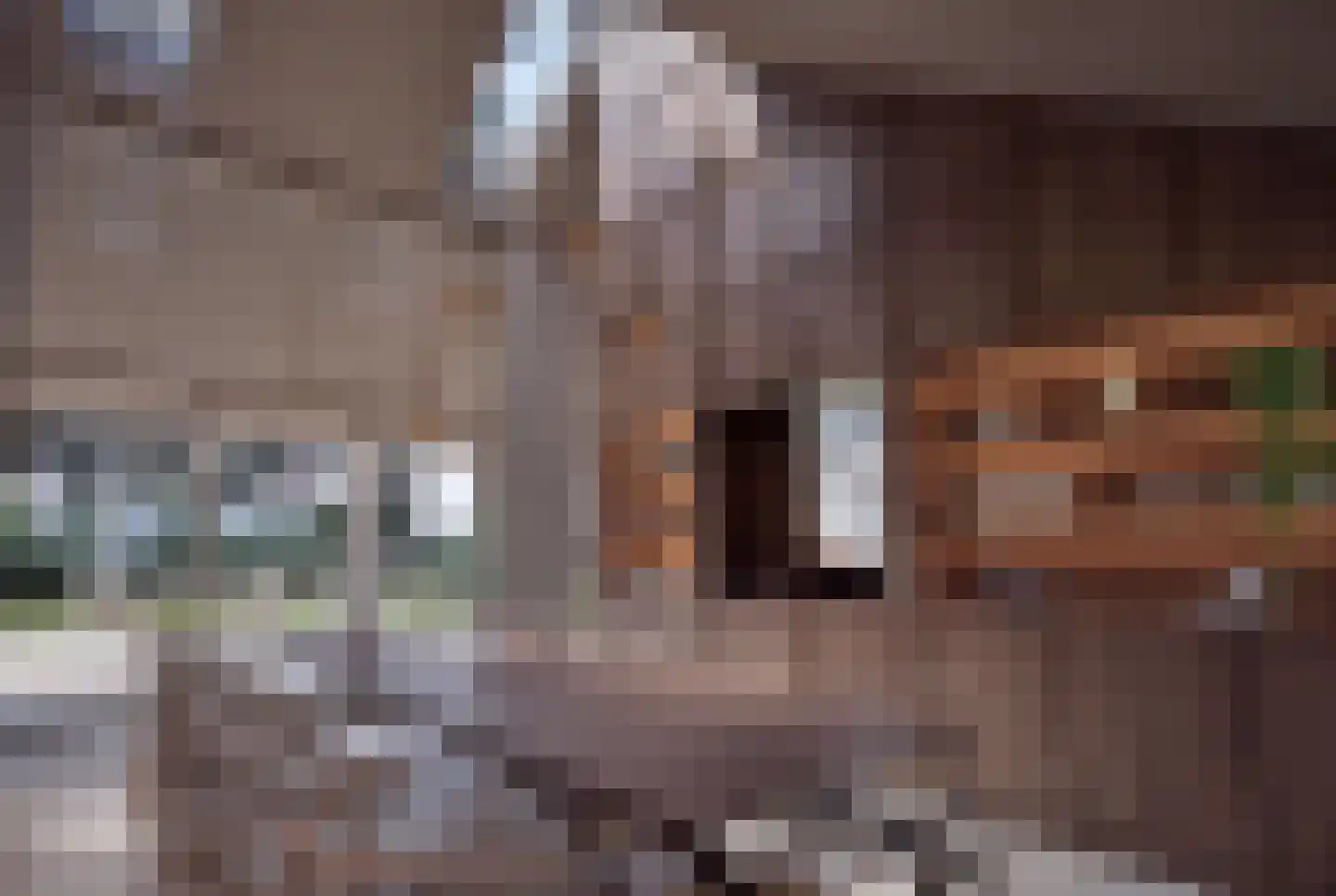 Hondsbergselaan 7 Oisterwijk thumbnail 15