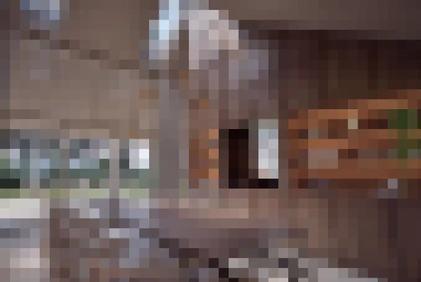 Hondsbergselaan 7 Oisterwijk thumbnail 15